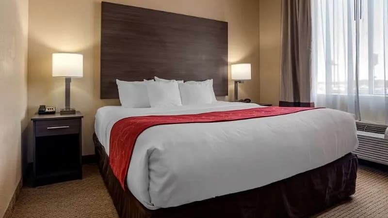 Comfort Suites Mobile West Tillmans Corner hotel photo 2
