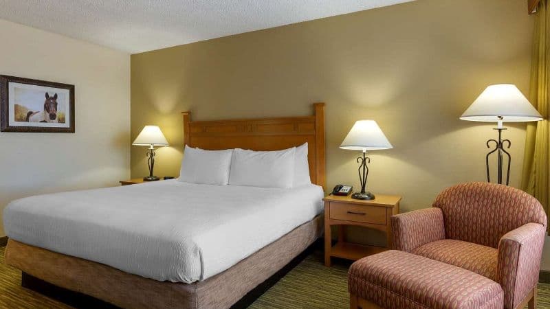 Best Western Paint Pony Lodge hotel photo 3