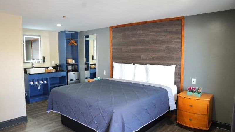 Carrier Motor Lodge hotel photo 3