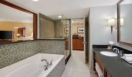 DoubleTree by Hilton Stamford Jacuzzi room