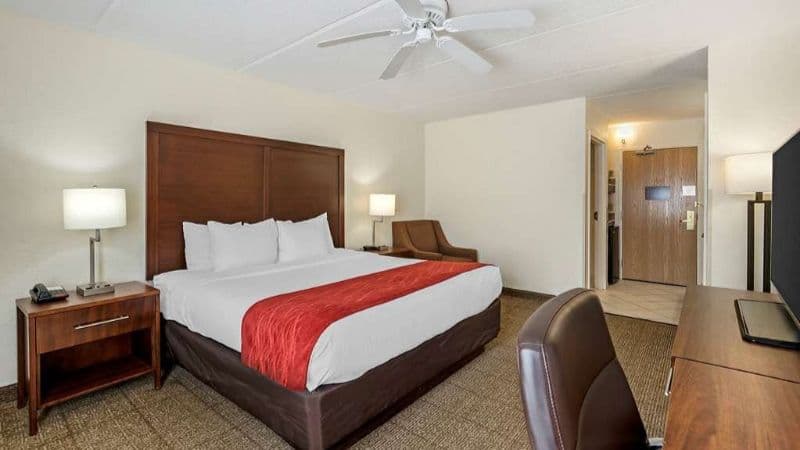 Comfort Inn Kissimmee-Lake Buena Vista South hotel photo 2