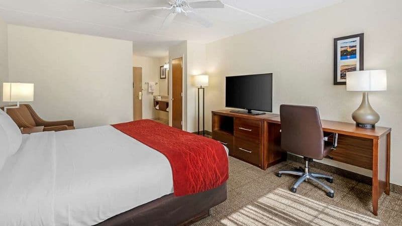 Comfort Inn Kissimmee-Lake Buena Vista South hotel photo 3