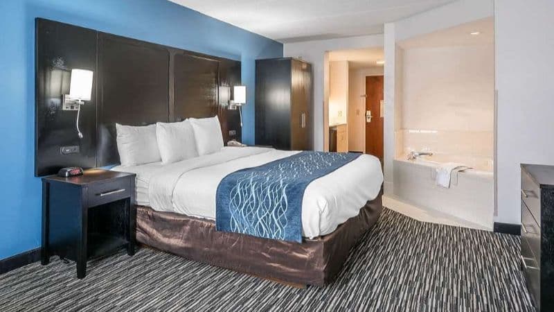 Comfort Inn University hotel photo 2