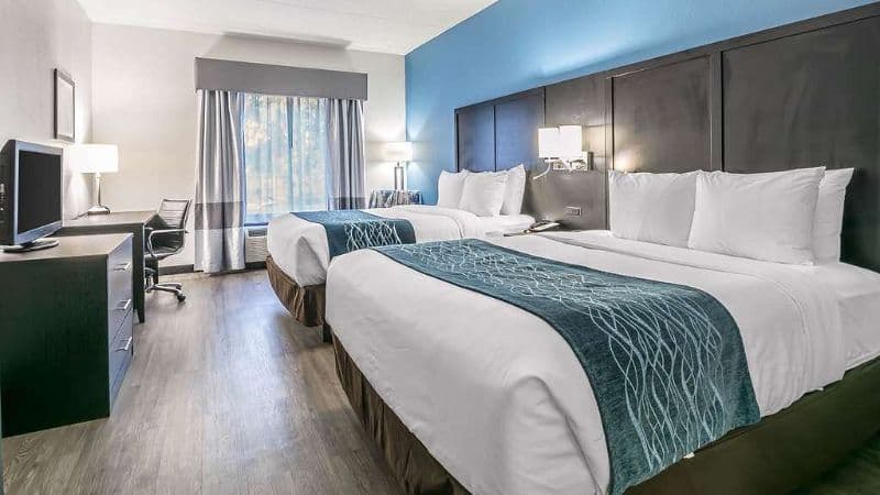 Comfort Inn University hotel photo 3