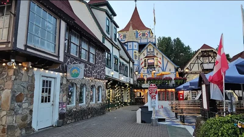 Black Forest Vacation Rentals hotel photo 4