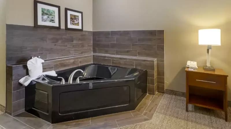 Comfort Inn & Suites Peachtree Corners hotel photo 2
