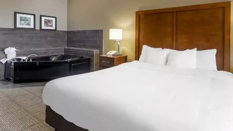 Comfort Inn & Suites Peachtree Corners hotel photo 3
