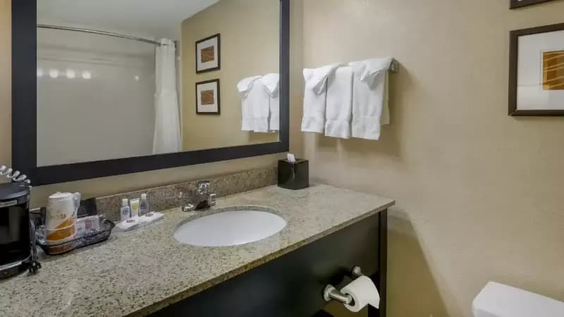 Comfort Inn & Suites Peachtree Corners hotel photo 5