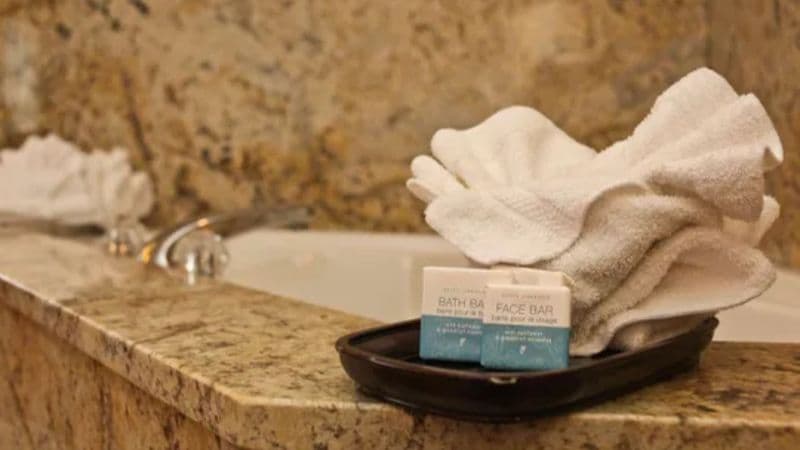 Spark by Hilton Oak Forest I-57 Jacuzzi room