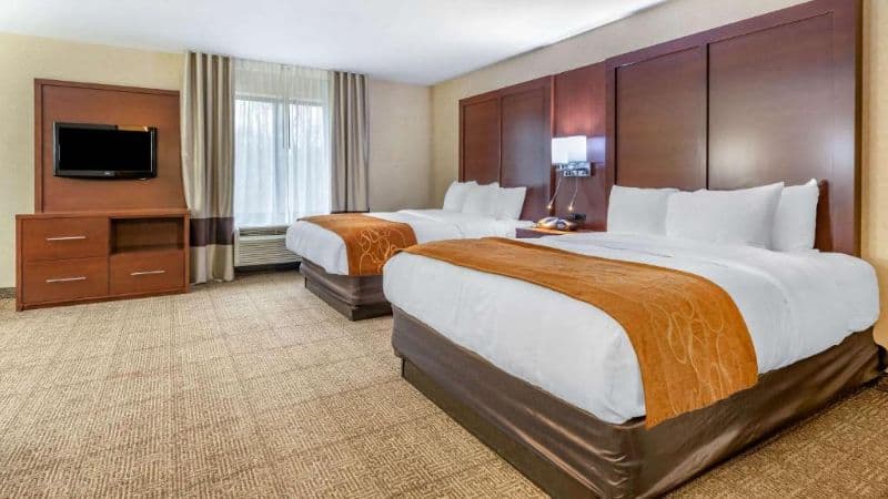 Comfort Suites South hotel photo 3