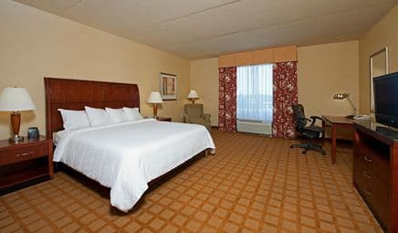 Hilton Garden Inn Indianapolis Airport hotel photo 2