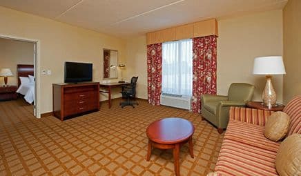Hilton Garden Inn Indianapolis Airport hotel photo 3