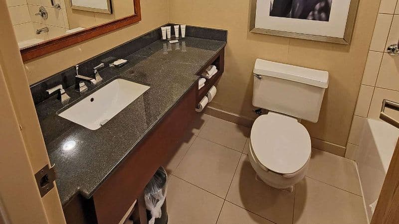 Radisson Hotel Cedar Rapids hotel photo 3