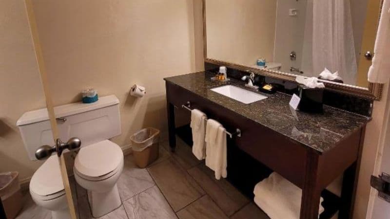 Seville Plaza Streetcar Hotel Museum District, Trademark hotel photo 4