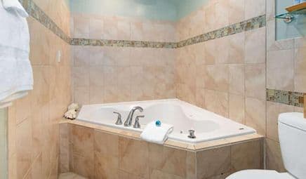 The Old Brick Inn Jacuzzi room