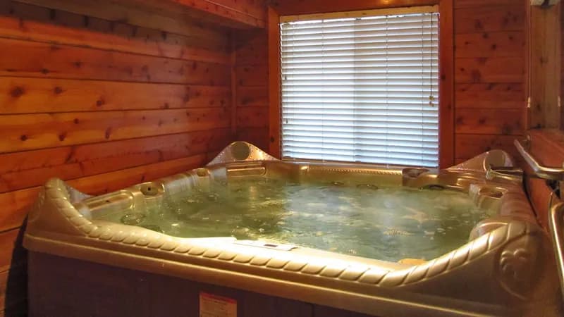 Wisp Resort hotel photo 5