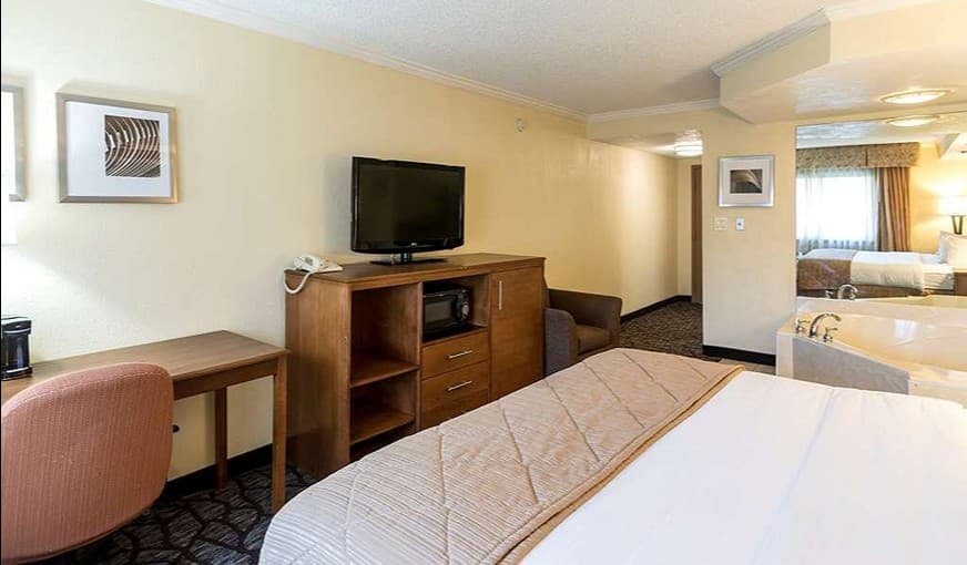 Clarion Hotel Detroit Metro Airport hotel photo 3