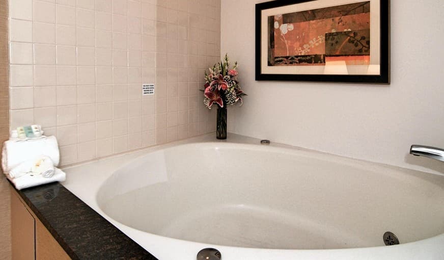 Comfort Inn Metro Airport hotel photo 3
