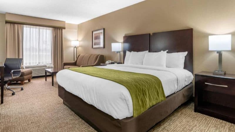 Comfort Inn Pearl-Jackson hotel photo 2
