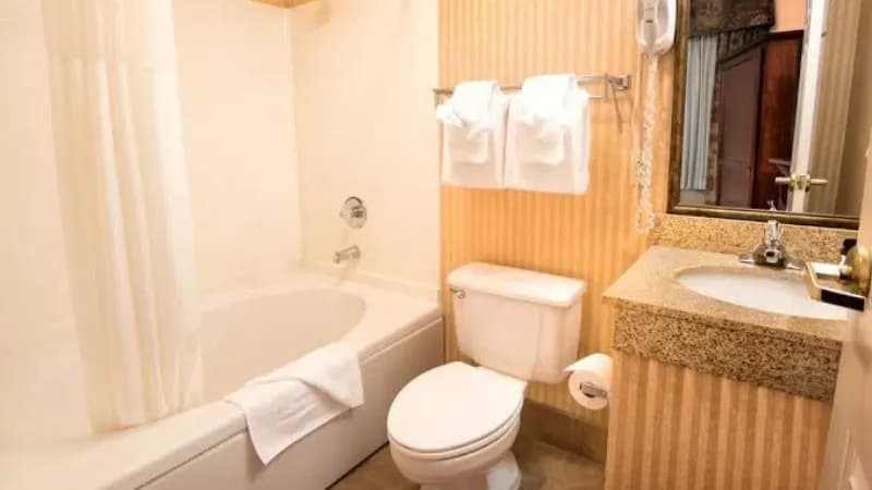 Grand Plaza Hotel Branson hotel photo 3