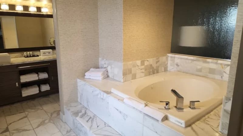 Plaza Hotel & Casino Jacuzzi room