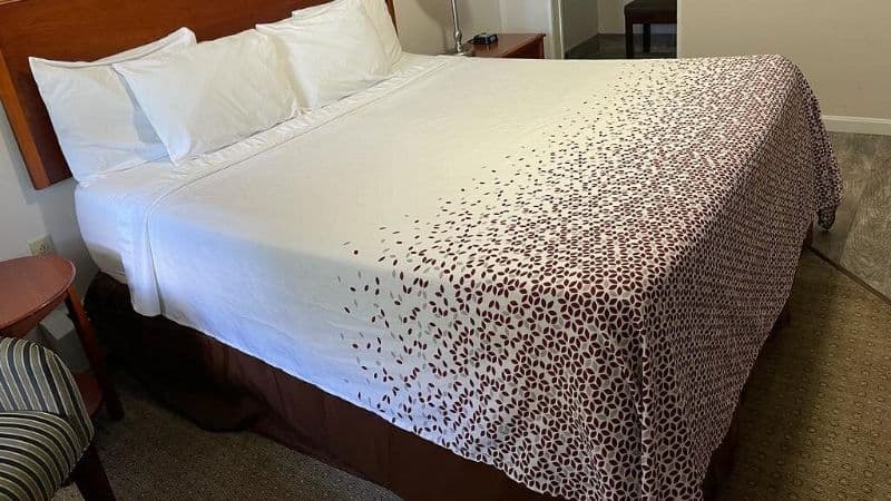 Colonial Motel hotel photo 3