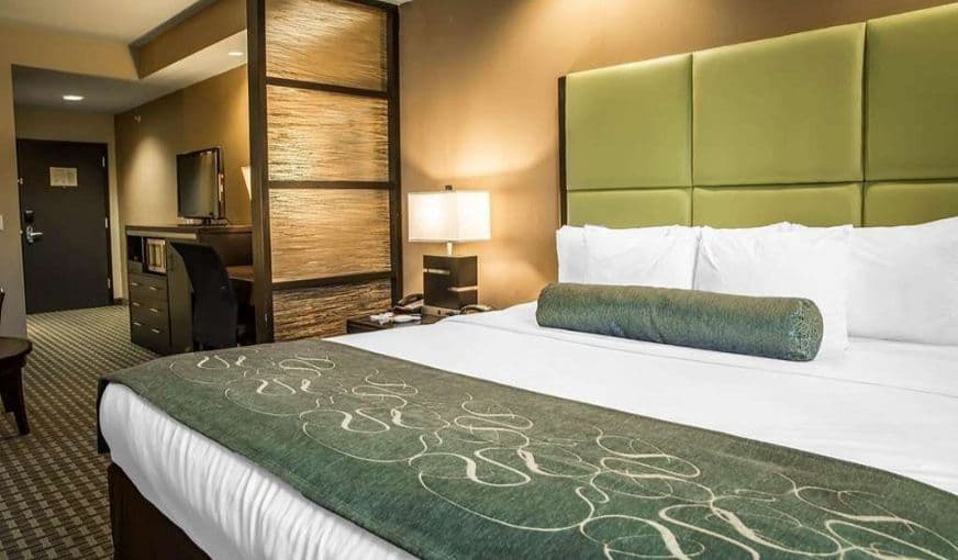 Comfort Suites New Bern hotel photo 3