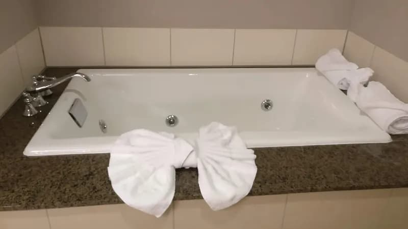 Raleigh Marriott City Center Jacuzzi room