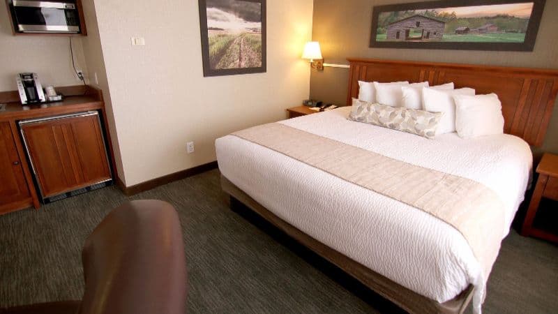 C’Mon Inn hotel photo 5