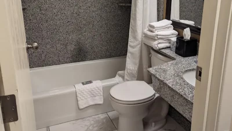 Best Western Falcon Plaza hotel photo 2