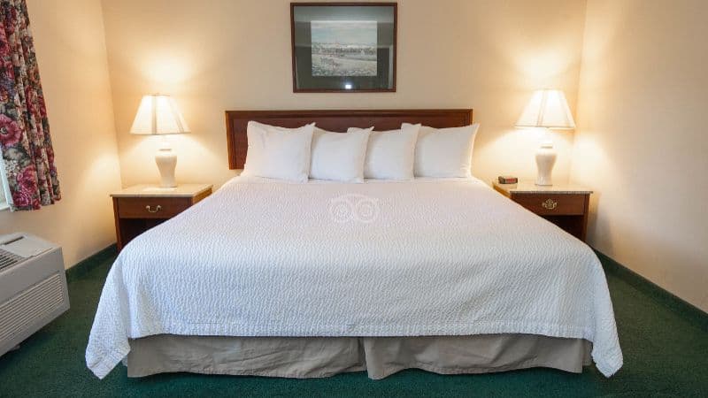Ashley Inn and Suites hotel photo 3