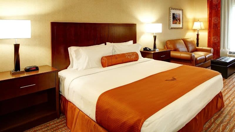 Phoenix Inn Suites Albany hotel photo 3