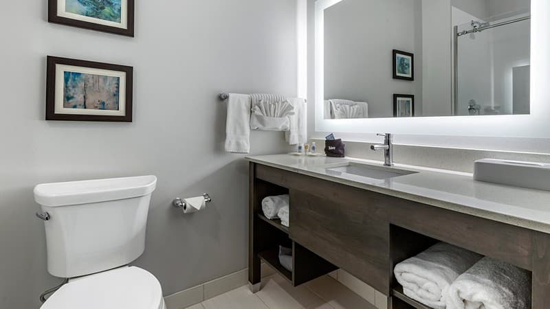 Comfort Suites Greenville Airport hotel photo 3