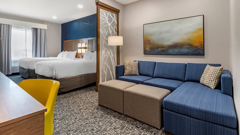 Comfort Suites Greenville Airport hotel photo 4