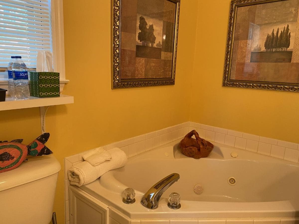 The Birdnest Inn Jacuzzi room