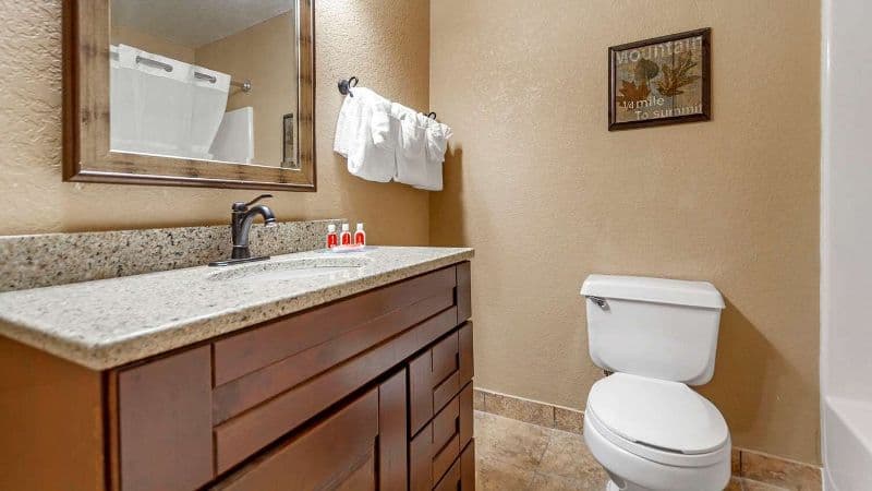 Econo Lodge Black Hills hotel photo 3