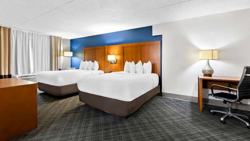 Comfort Inn & Suites hotel photo 4