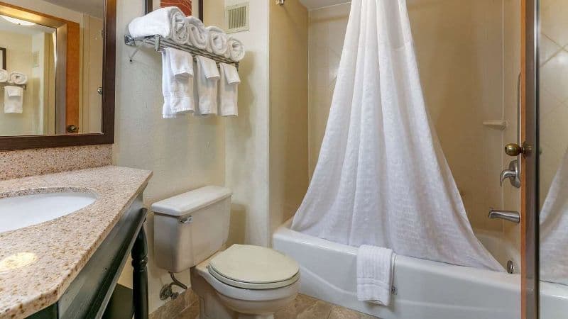 Comfort Inn Downtown hotel photo 3