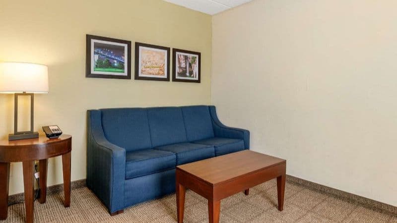 Comfort Inn Downtown hotel photo 4