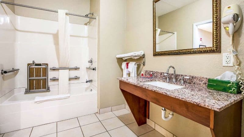 Econo Lodge Inn & Suites Horn Lake hotel photo 3