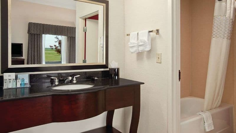 Hampton Inn & Suites Millington hotel photo 3