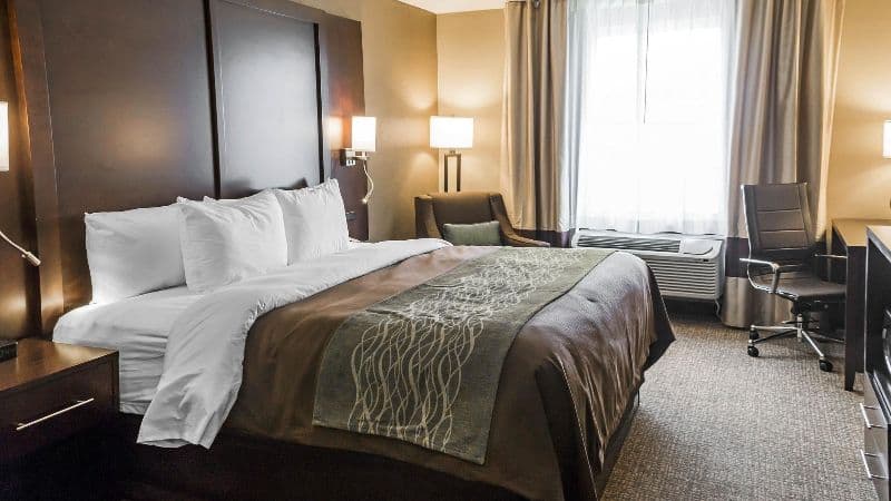 Comfort Inn & Suites Pharr – Mcallen hotel photo 2