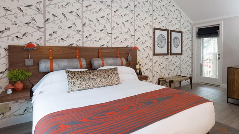 Field Guide Lodge hotel photo 3