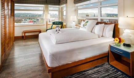 Staypineapple, Watertown, University District Seattle hotel photo 2