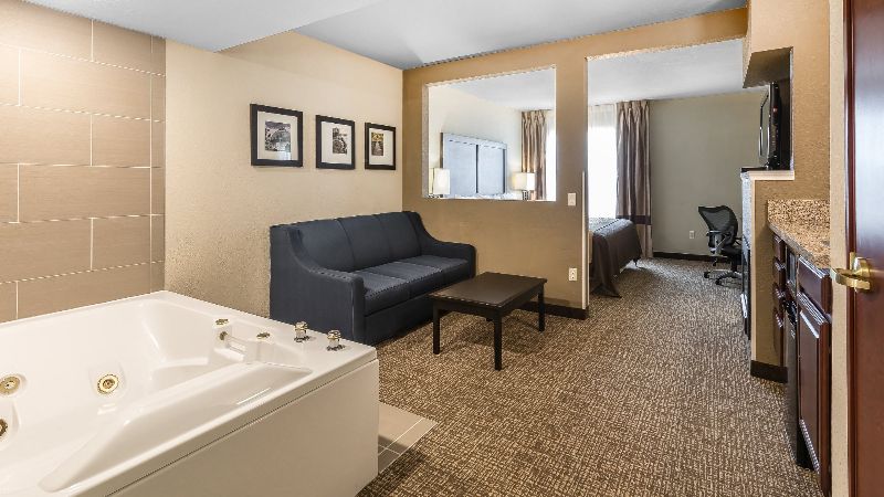 Comfort Inn & Suites Allen Park – Dearborn photo 1
