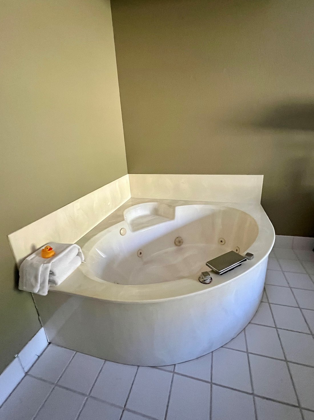 Country Inn Walker photo 1