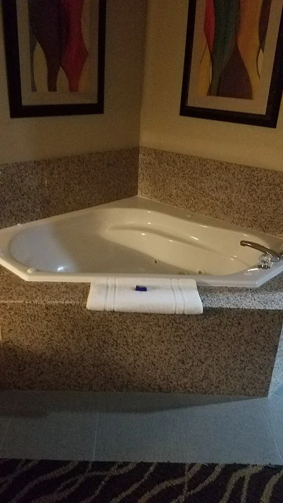 Best Western Plus Suites-Greenville photo 1