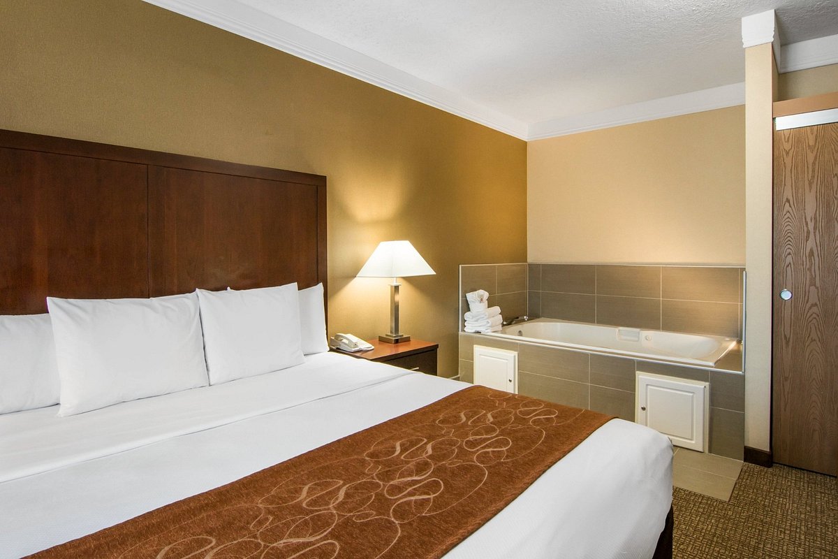 Comfort Suites Linn County Fairgrounds and Expo photo 1