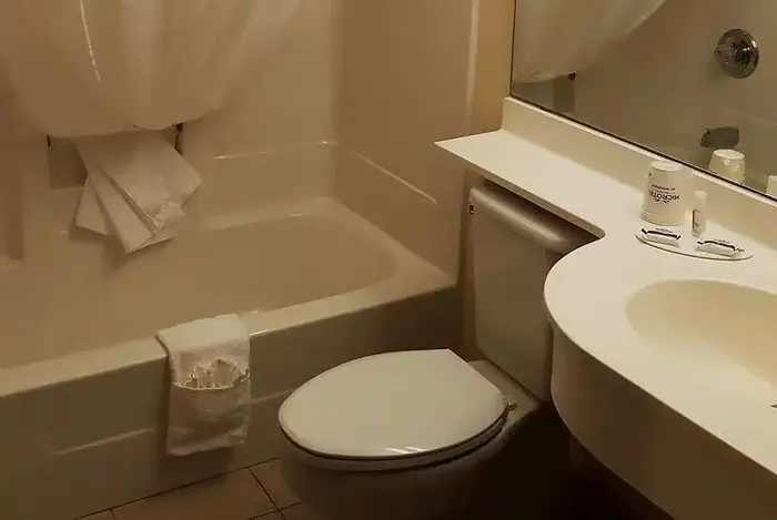 Microtel Inn & Suites by Wyndham Bellevue