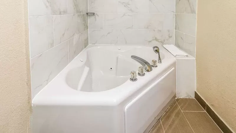 Comfort Inn Downtown Detroit